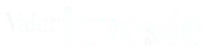 Valor Investe | Logo